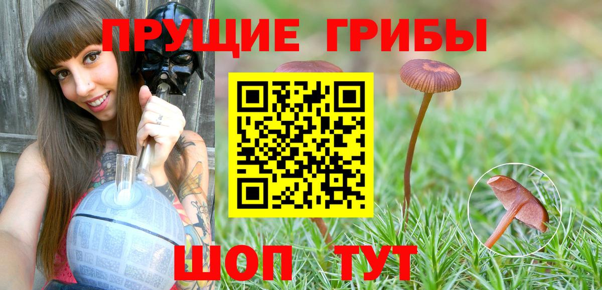 Галлюциногенные грибы Magic Shrooms Ефремов