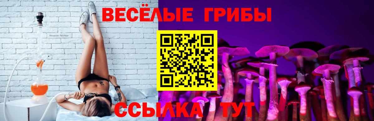 Псилоцибиновые грибы прущие грибы  Вход с VPN  Галлюциногенные грибы Psilocybine cubensis  Ефремов 